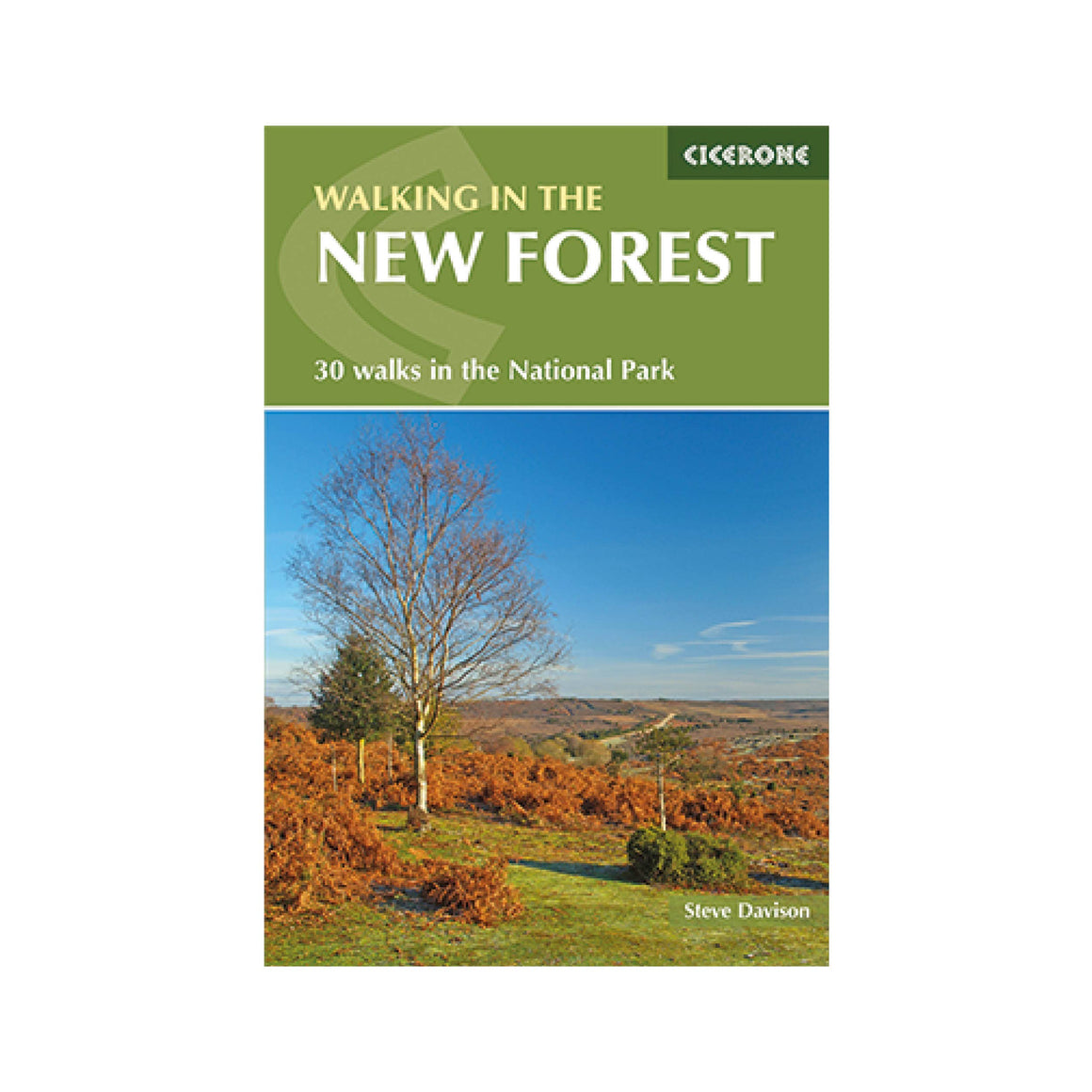 Walking In The New Forest