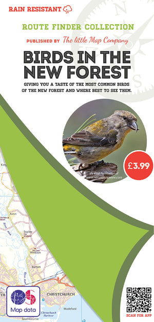 scan of Birds in the New Forest Walks Map | The Little Map Company nature