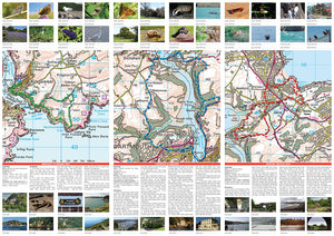 scanned image of Dartmouth and Surrounding Area Map of Walks