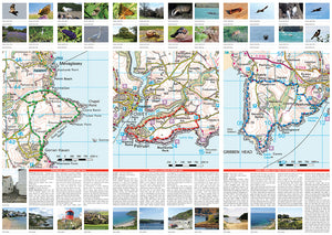 scanned image of Fowey Map of Surrounding Area | The Little Map Company