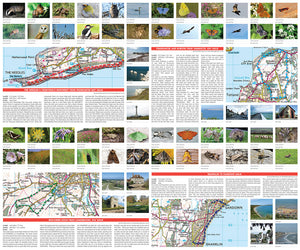 scanned image of Isle of Wight walks