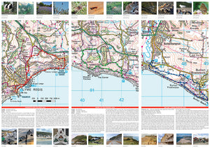 scanned image of Lyme Regis map