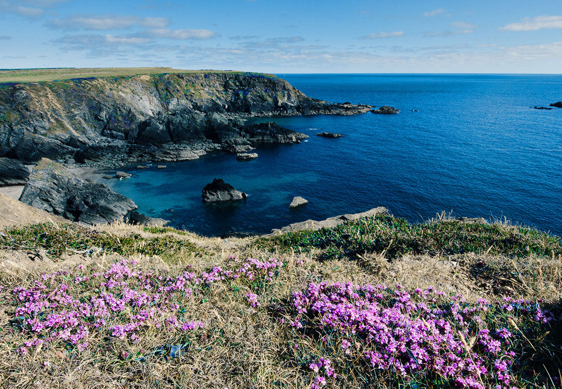 photo of Pembrokeshire South views