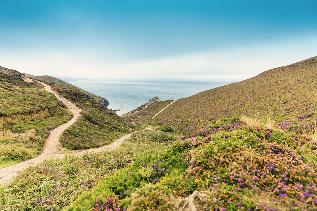 photo of Trevowhan views