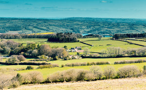photo of The Mendips views