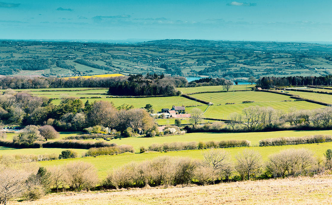 photo of The Mendips views